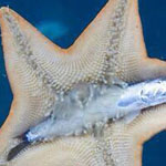 ���� ���� ��� ����� ������� !