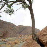 ������� ����ԡ�