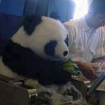 ������� ����� ����  ������ �����