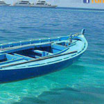 ������ ������ ���� - �� ������� ��� ����