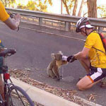 ������ ���� �� ���