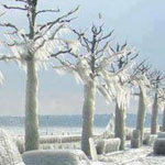 ���� ��� ������ ����� ����� �� �������