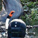 ��� ���� ���� ������ �������� ����� ���� ����� 26 ����� !!