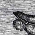 ������� ����� . ��� ����� ��� ������