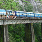 ��� ���� ������ ���� ������- �����