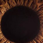 ���� ����� ���� ����� ���� ����