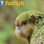 ����� ���� �� ��� ������ ,���� ������� , ����� ����� , ��� ����� ��� ����� �����