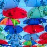 ����� ������ ����� ���