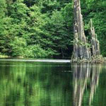 ����� ������ ������� �����