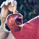 ����� ���������