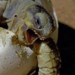 ������ ���� ���� ������ 