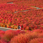 ����� ������ �������� 