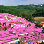 ����� ������� �������