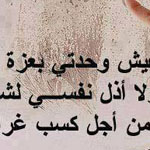 ��� ������ ������