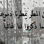 ���� ����