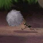 ��� ����� ��� ������