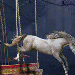 ���� ���� �������