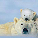 ����� ���������