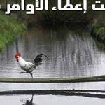 ���� ����� �� �����...