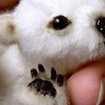 ��� ���� ������