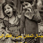 ���� ����� ����� ������