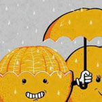 ���� ����� ����