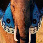 �� ����� �� �� ������ ��������.