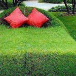 ���� ���� ��������