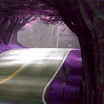 ���� ����� �� ��������