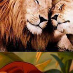 ���� ������ ���� ����..