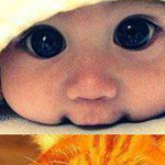 ������ ������� ���