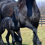 ����� ����� �� ������� ����� ��� ��� �������