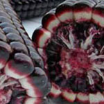 ����� ��� ����� ������ ����� ��� ������� ������ �� �������.. �����!!