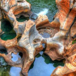 ���� ���� �� ����� ����� �� ���� �������