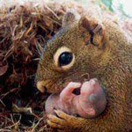 ������� �� ������ ����� � ����� ��� 