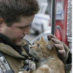 ������ ����� �� �����