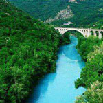 ��� �������