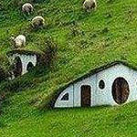 ���� ������� - ����������