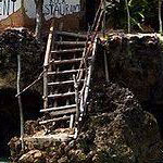 ������� �����