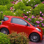 ���� ������� ������� �� ����� ��� ��������� ��������� �� ���� ����� ������� �������