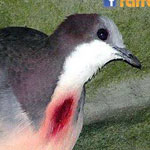 ���� ������� ��� ������ ������� ���� �� ����� ��� ������� 