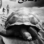 ����� �����