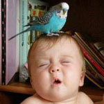 ���� �������