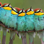 ���� ���� �����