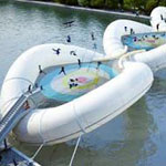 ���� ������ ����� ���� ���� ��� ��� ����� �� �����