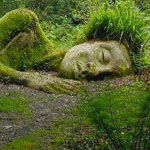 ����� ������� ��������, �������