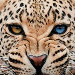 �� ������ 