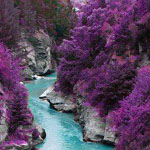 ������ �� ��� ���� ����� ���� ����� ���� �� �������� ..