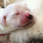 ����������