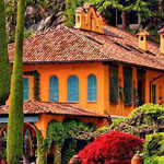 ����� ���� ... �������